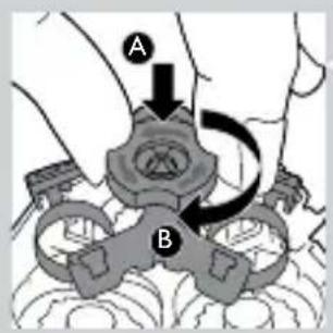 A B