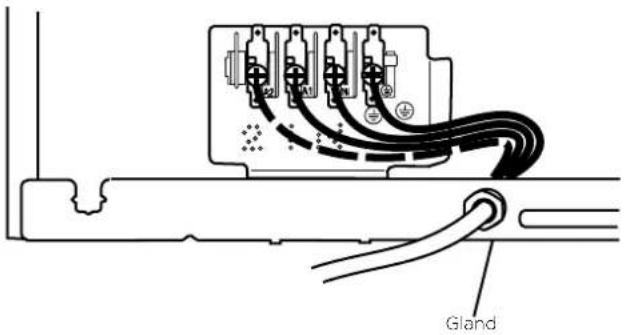 Gland