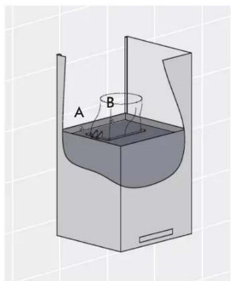 A B