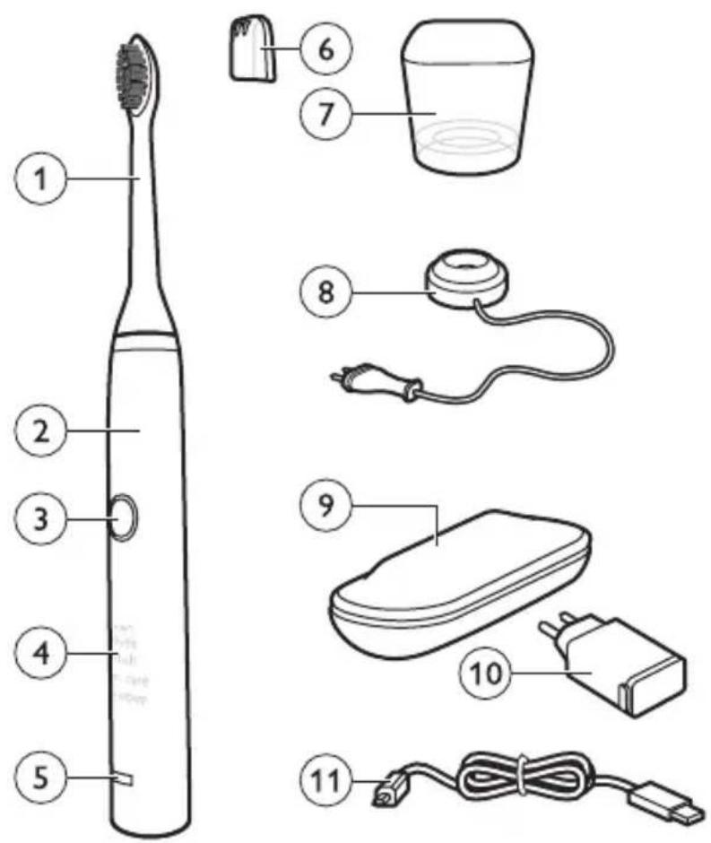 Diagram of an electric toothbrush with labeled parts including a base, water dispenser, and charging device