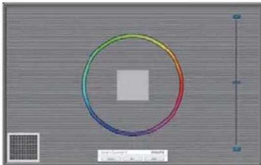 Colorful circular ring diagram with grid pattern and measurement scale (no text or symbols)