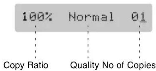 100% Normal 01 Copy Ratio Quality No of Copies