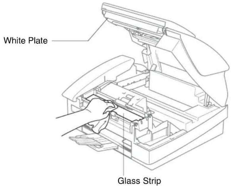 White Plate Glass Strip