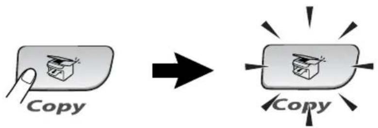 Copy Copy
