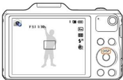 SAMSUNG WB52F - Setting the display type - 1