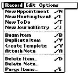 Record Edit Options New Appointment ✓N New Floating Event ✓I New To Do ✓T New Journal Entry ✓J Beam Item ✓B Duplicate Item ✓Y Create Template ✓V Attach Note ✓A Delete Item... ✓D Delete Note... Purge Items... ✓E