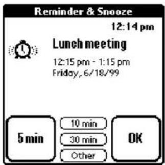 Reminder & Snooze 12:14 pm Lunch meeting 12:15 pm - 1:15 pm Friday, 6/18/99 5 min 10 min 30 min Other OK