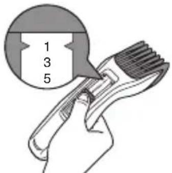 1 3 5