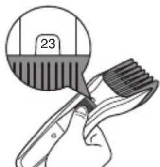 23