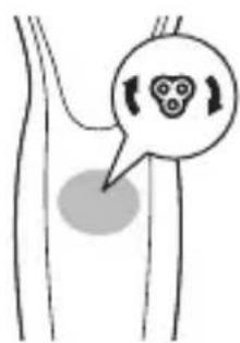 Diagram showing a biological structure with a speech bubble containing three circular icons and directional arrows, possibly indicating a reaction or interaction.