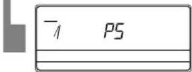 -1 P5