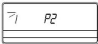 ≥1 P2 _______________________________