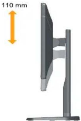 LENOVO ThinkVision E2003 - Height Adjustment - 1