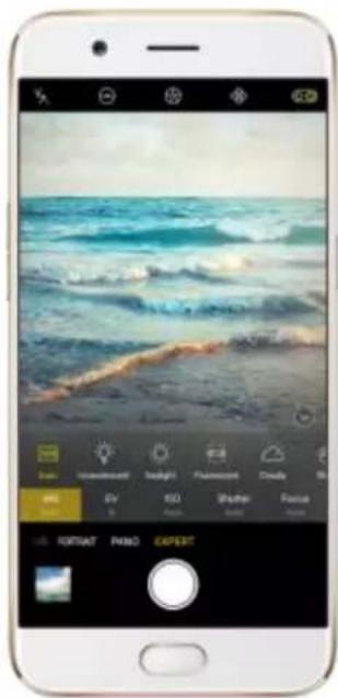 OPPO R9s Pro - Switch the cameras. Click - 7