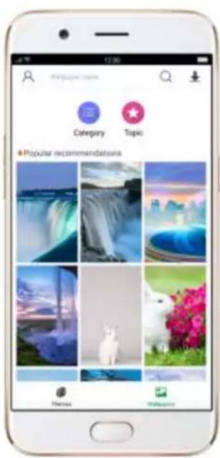 OPPO R9s Pro - Change the wallpaper - 3