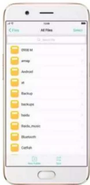 OPPO R9s Pro - View and manage files - 1