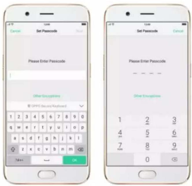 OPPO R9s Pro - Fingerprint and Passcode - 2