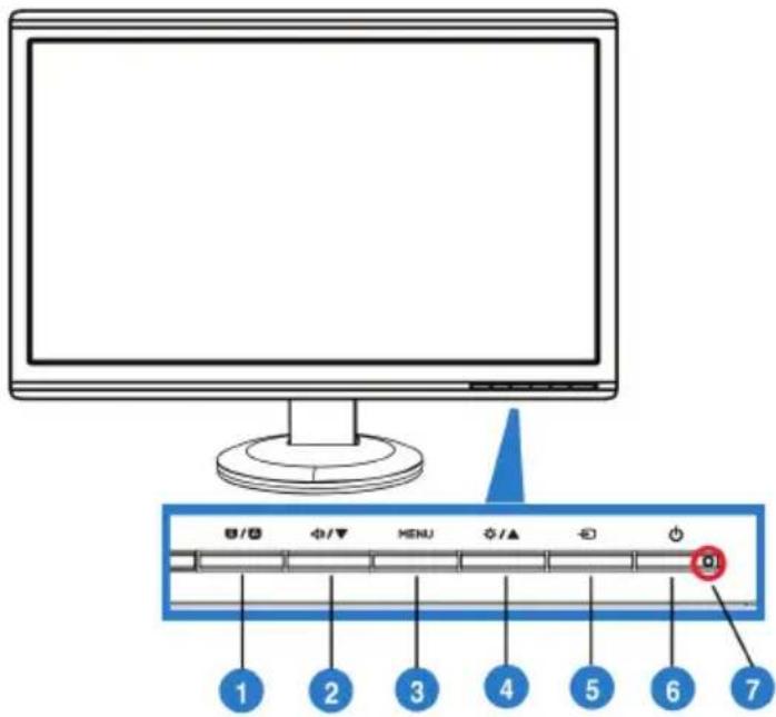 ASUS VH242HL - Front of the LCD monitor - 1
