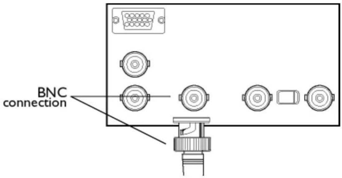 BNC connection