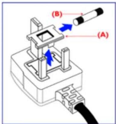 (A) (B)