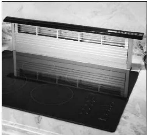 Dacor ILHSF8 - Downdraft Systems - 1