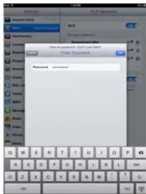 Password Password - password