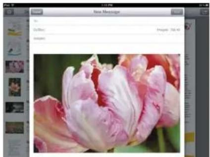 XEROX Mobile 100N02838 - Sharing Documents - 3