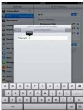 Password Password