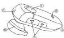WAGAN 2463 - OVERVIEW - 1