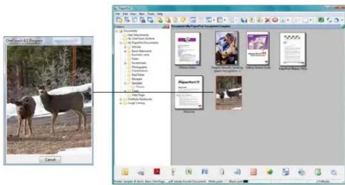 OneSports 4.5 Programs File Edit View Tools Help Documents Go the Environment My Owned Book Accounts My Paperset Documents Bare Book Accounts Business Group Fees Book Documents Photographs Photographs Real Estate Materials Sample C. Trains Tools Help Page Support Networks Image Setting Save As: New Page - All Online Archive Document - White page - Black page OneSports 4.5 Programs OneSports 4.5 Programs OneSports 4.5 Programs OneSports 4.5 Programs OneSports 4.5 Programs OneSports 4.5 Programs OneSports 4.5 Programs OneSports 4.5 Programs OneSports 4.5 Programs OneSports 4.5 Programs OneSports 4.5 Programs OneSports 4.5 Programs OneSports 4.5 Programs OneSports OneSports 4.5 Programs OneSports 4.5 Programs OneSports 4.5 Programs OneSports 4.5 Programs OneSports 4.5 Programs OneSports 4.5 Programs OneSports 4.5 Programs OneSports 4.5 Programs OneSports 4.5 Programs OneSports 4.5 Programs OneSports 4.5 Programs OneSports 4.5 Programs OneSports