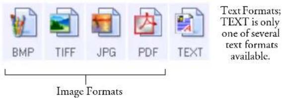 Text Formats; TEXT is only one of several text formats available. BMP TIFF JPG PDF TEXT Image Formats