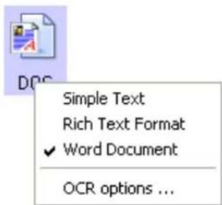 Simple Text Rich Text Format ✓ Word Document OCR options ...