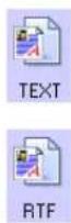 XEROX Strobe SXP1001-DB - To select a file type for the text format: - 3