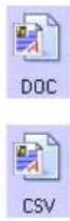 XEROX Strobe SXP1001-DB - To select a file type for the text format: - 4
