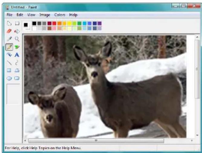 XEROX Patriot P4301D - To scan using WIA from Microsoft Paint: - 3