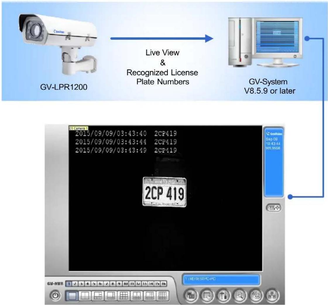 Geovision GV-LPC1200 - POS - 1