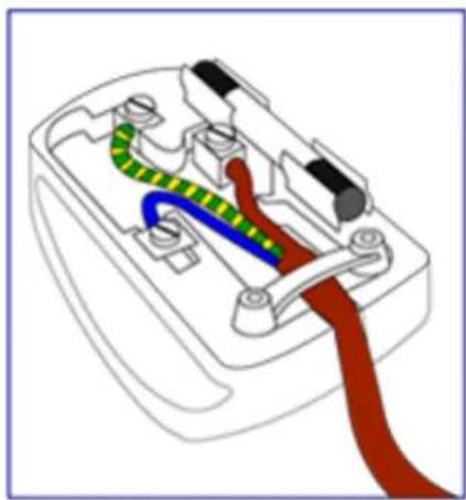 Diagram of a white electrical outlet with internal wiring and color-coded wires (no text or labels)