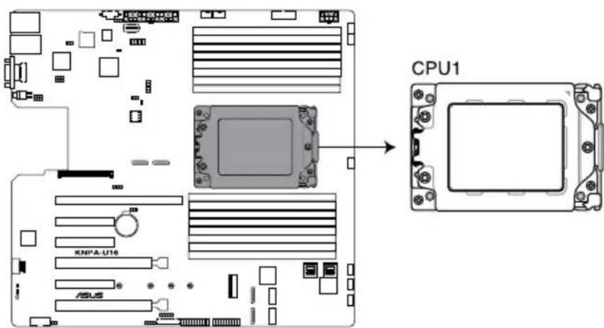 ASUS RS500A-E9-PS4 - Installing the CPU and heatsink - 1