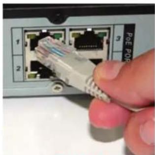 Q-See QCN8002 - CONNECTING AN IP CAMERA - 2