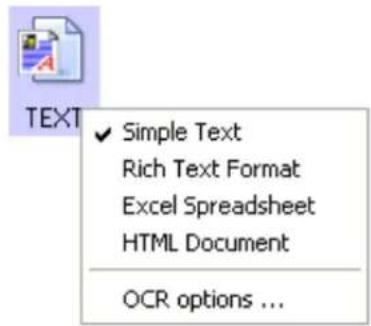 TEXT ✓ Simple Text Rich Text Format Excel Spreadsheet HTML Document OCR options ...