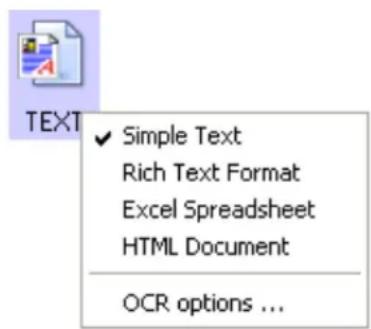 TEXT ✓ Simple Text Rich Text Format Excel Spreadsheet HTML Document OCR options ...