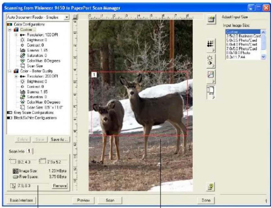 Scanning from Visioneer 9650 to PaperPort Scan Manager Auto Document Feeder - Simples Color Configurations Custom Resolution: 100 DPI Brightness: 0 Contrast: 0 Gamma: 1.65 Saturation: 0 Color Hue: 0 Degrees Scan Size Color - Better Quality Resolution: 200 DPI Brightness: 0 Contrast: 0 Gamma: 1.65 Saturation: 0 Color Hue: 0 Degrees Scan Size: 85"x11.0" Grey Scale Configurations Black&White Configurations Delete Save Save As... Scan Info 1 0.2.43 7.9x5.2 Image Size: 1.29 MByte Free Space: 3.75 GByte 7.9.8.3 Remove Basic Interface Preview Scan Done Adjust Input Size Input Image Size: Custom 3.5x2.0 Business Card 5.0x3.5 PhotoCard 6.0x4.0 PhotoCard 7.0x5.0 PhotoCard 8.0x10.0 Photo 8.3x11.7.44