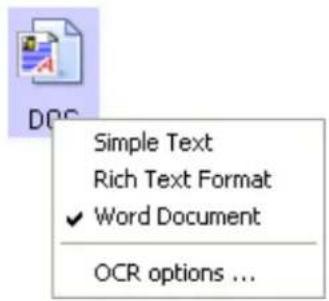 Simple Text Rich Text Format ✓ Word Document OCR options ...