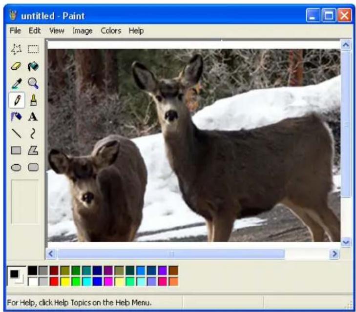 untitled - Paint File Edit View Image Colors Help For Help, click Help Topics on the Help Menu.