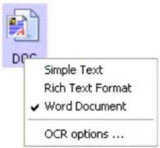 Simple Text Rich Text Format ✓ Word Document OCR options ...