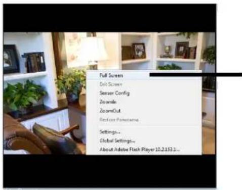 Full Screen Exit Screen Sensor Config ZoomInfo ZoomOut Restore Panorama Settings... Global Settings... About Adobe Flash Player 10.2.153.1...