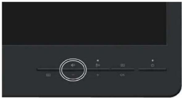 HP Business P222c - - Mute - 1
