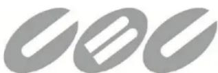 Ganz PT118XT - User Manual - 1