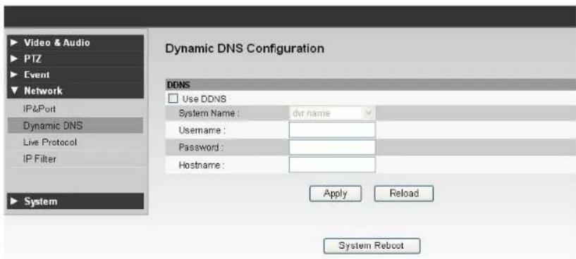 Ganz PT118XT - Dynamic DNS - 1