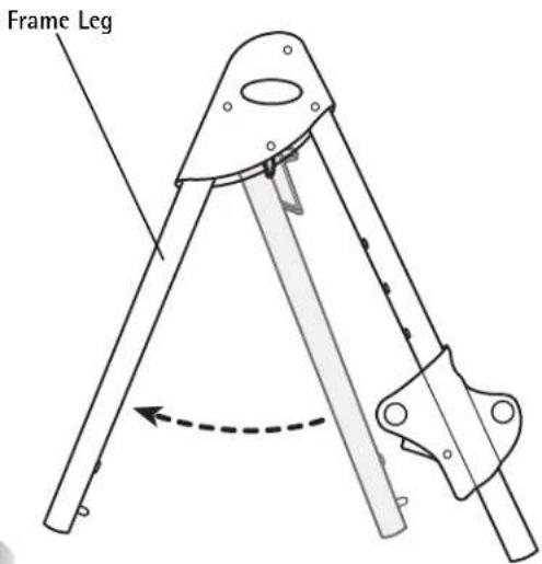 Frame Leg